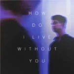Artwork: How Do I Live Without You - Scale a Tone