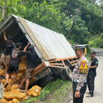Truk box yang menabrak 3 kendaraan karena tak kuat menanjak di Pesawaran, Kamis (25/12/2024).(Dok. Humas Polda Lampung)