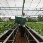 Potensi pesantren sebagai kontributor ketahanan ekonomi hijau nasional