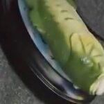 Pelatih Real Madrid Xabi Alonso Terima Hadiah Aneh dari Kazakhstar: Seekor Ikan yang Bisa Berbicara!