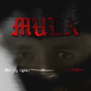 Artwork: Mula - Badi303