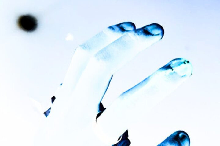 Artwork Solitude - Nicolaus