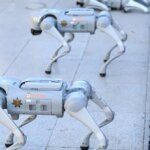 Meksiko Kerahkan Anjing Robot untuk Mengamankan Piala Dunia 2026