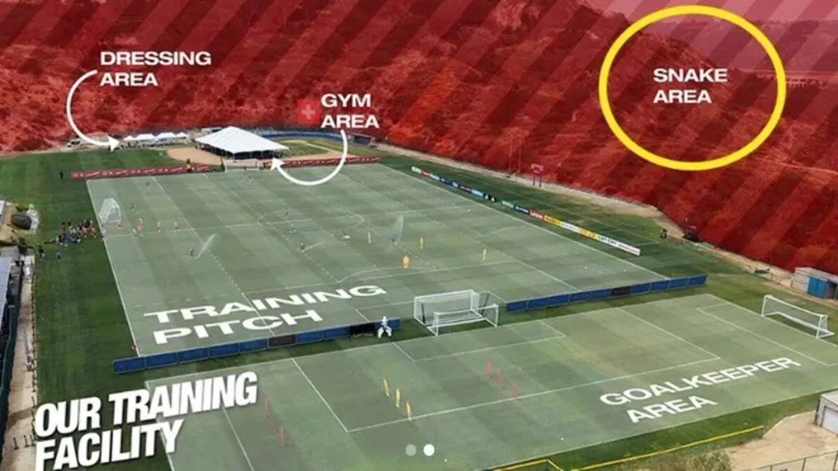 Viral! Markas Latihan Timnas Swiss di Piala Dunia 2026 Dikepung Zona Ular Derik Mematikan