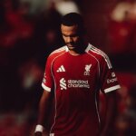 Liverpool Capai Kesepakatan Rp727 Miliar, Cody Gakpo Segera Dilego ke Tottenham