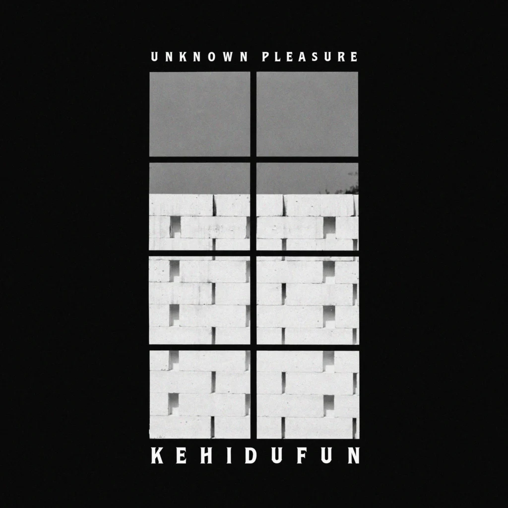 Artwork Pertama - Unknown Pleasur