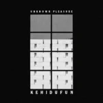 Artwork Pertama - Unknown Pleasur