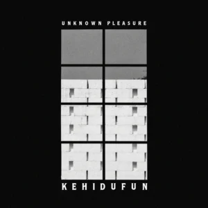 Artwork Pertama - Unknown Pleasur