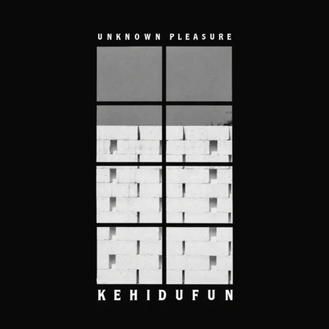 Artwork Pertama - Unknown Pleasur