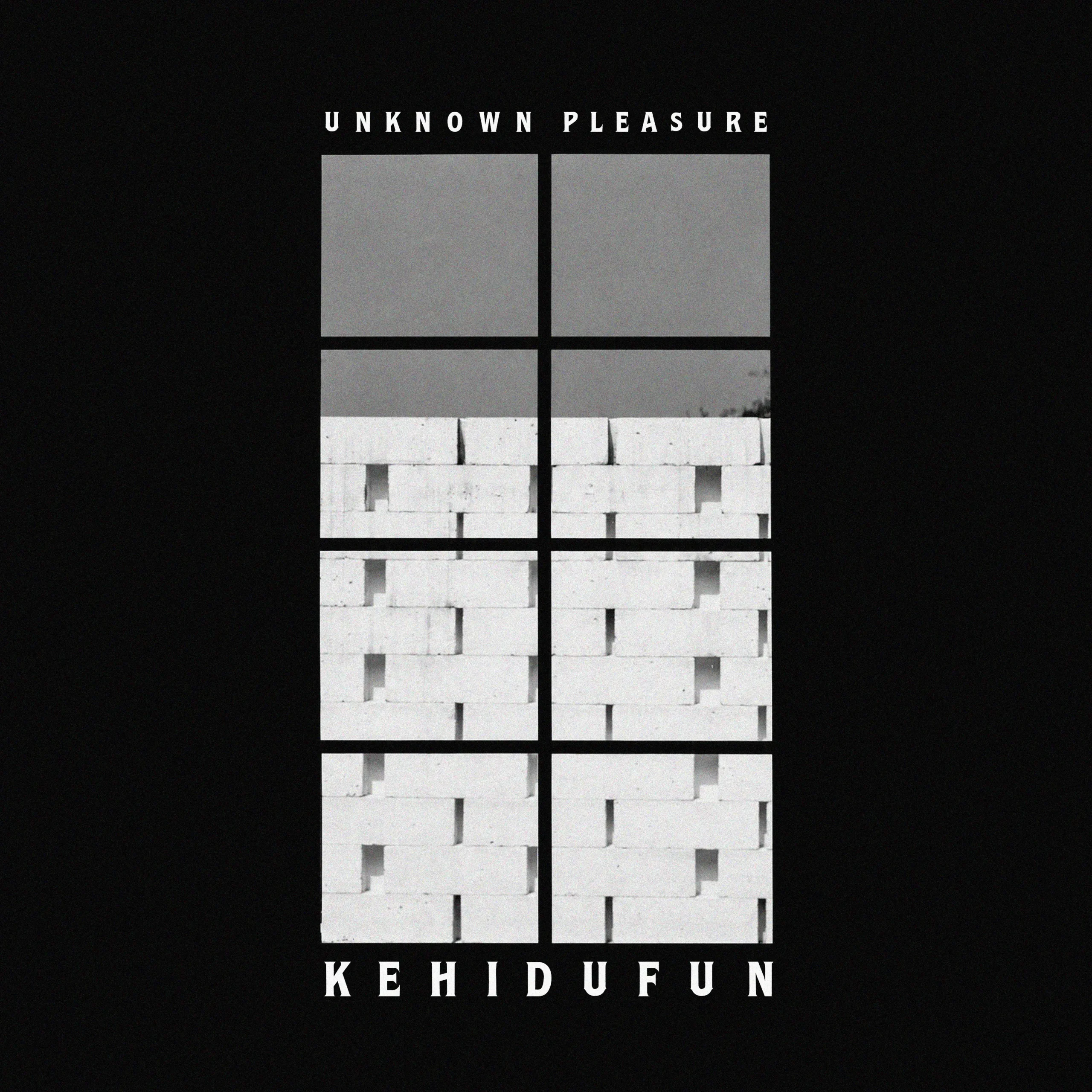 Artwork Pertama - Unknown Pleasur