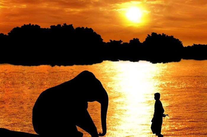 Ilmuwan berharap, suatu saat nanti dunia hewan dan manusia tidak ada lagi batasan. Manusia dapat memahami bahasa hewan. (Shutterstock)