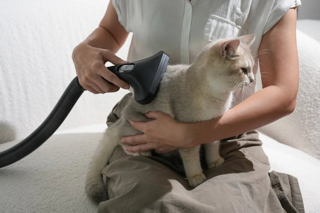 Vacuum Sekaligus Grooming Hewan? Ini Keunggulan Acerpure Clean V2